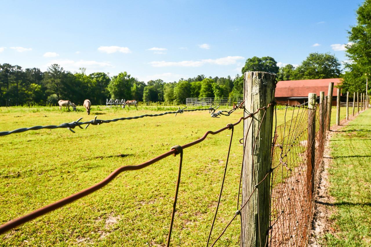 Dublin Farm Exterior foto